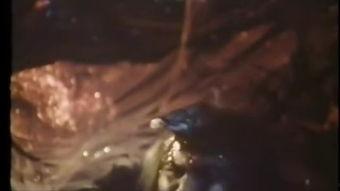 蜈蚣咒在線觀看  第3張