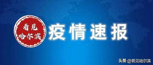 哈爾濱爆料新消息最新,揭秘城市新動(dòng)態(tài)與重大事件！  第3張