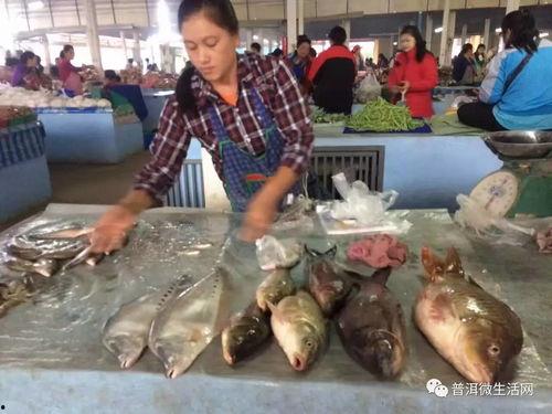 免費吃瓜叫賣視頻,視頻直播帶你一探究竟  第3張