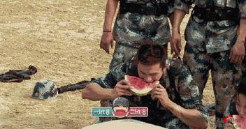 娛樂吃瓜地,吃瓜群眾背后的故事  第2張