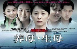 電視劇養母在線觀看,溫情演繹母愛如山