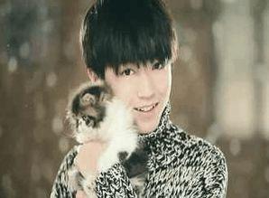 娛樂大爆料吳磊延遲畢業(yè),娛樂大爆料背后的故事  第2張