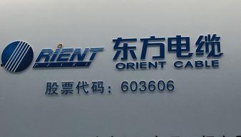 東方電纜最新爆料,揭秘行業新動態與技術創新  第3張