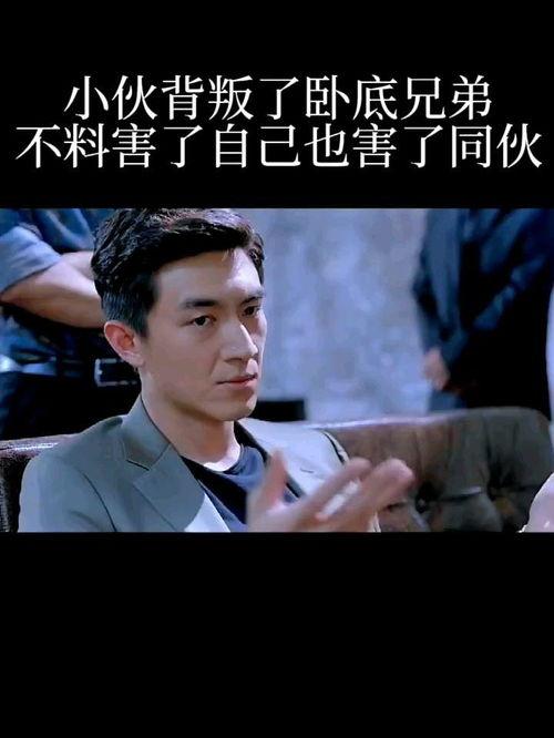 叛逆臥底在線觀看,臥底風云，揭秘臥底背后的驚心動魄