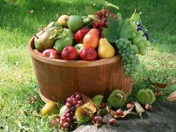 娛樂吃瓜場地圖片高清大圖,高清大圖揭秘網(wǎng)紅吃瓜場地  第2張