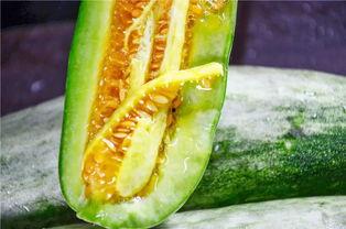 吃大瓜的網(wǎng)紅,揭秘娛樂(lè)圈幕后真相  第2張