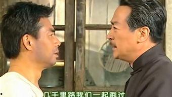 出生入死在線觀看,在線觀看出生入死的驚險(xiǎn)之旅  第3張