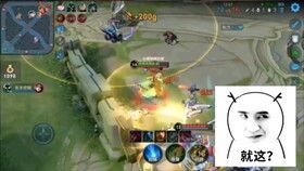 國服木蘭爆料視頻,新技能、新裝備及神秘改動一覽