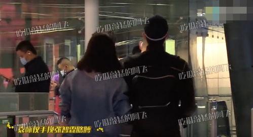 張智霖娛樂爆料視頻播放,揭秘娛樂圈幕后故事