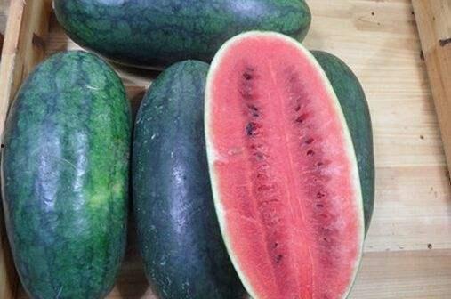 青島吃瓜網(wǎng)紅事件,一場網(wǎng)絡(luò)輿論的風(fēng)暴與反思 第3張 青島吃瓜網(wǎng)紅事件,一場網(wǎng)絡(luò)輿論的風(fēng)暴與反思 第3張