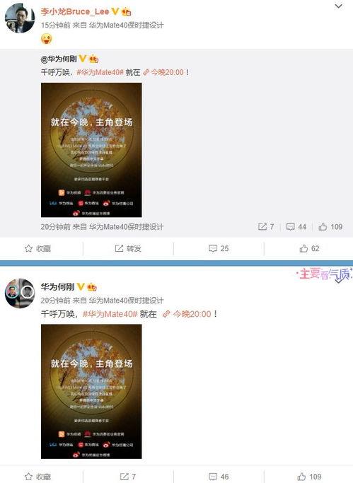 爆料小貝視頻大全最新網(wǎng)站,最新網(wǎng)站爆料匯總