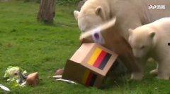 今日動物爆料最新消息,揭秘神秘生物新發現  第3張