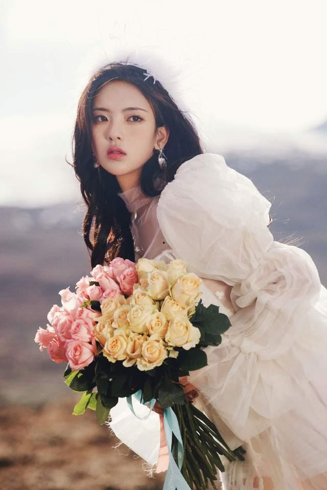 娛樂大爆料玫瑰,玫瑰背后的驚人真相大揭秘