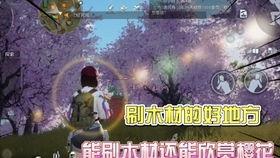 黎明覺醒雪山爆料視頻在線觀看,雪山揭秘，獨家視頻帶你領略神秘雪域風光  第2張