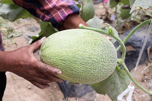 近期宿遷網(wǎng)紅吃瓜合集,盤點近期熱門事件