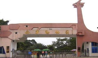 南寧動物園爆料案件最新,驚現動物逃脫事件，真相揭秘！