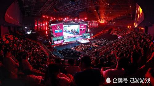 最新外網爆料csgo,外網爆料揭示游戲最新進展