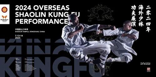 少林高手爆料視頻大全,獨家爆料視頻大全背后的傳奇故事  第2張