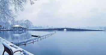 斷橋爆料技巧視頻大全,揭秘高效信息獲取秘籍  第3張