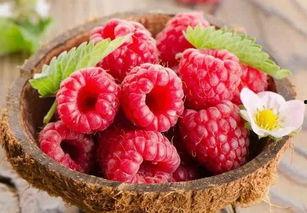 樹莓最新爆料視頻,揭秘神秘功能與驚艷外觀