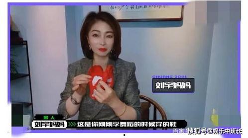 娟寶爆料視頻完整版,揭秘娛樂圈幕后真相  第3張