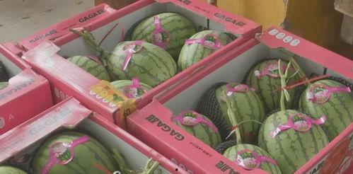 福利姬網紅吃瓜,揭秘娛樂圈幕后真相  第2張