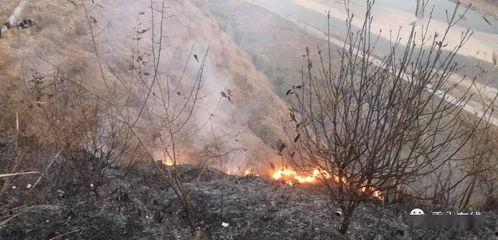 獅子山爆料視頻最新,最新熱點(diǎn)事件深度解析