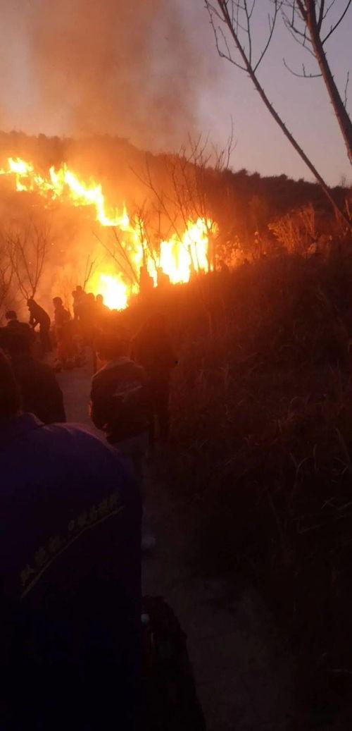 獅子山爆料視頻最新,最新熱點(diǎn)事件深度解析  第3張