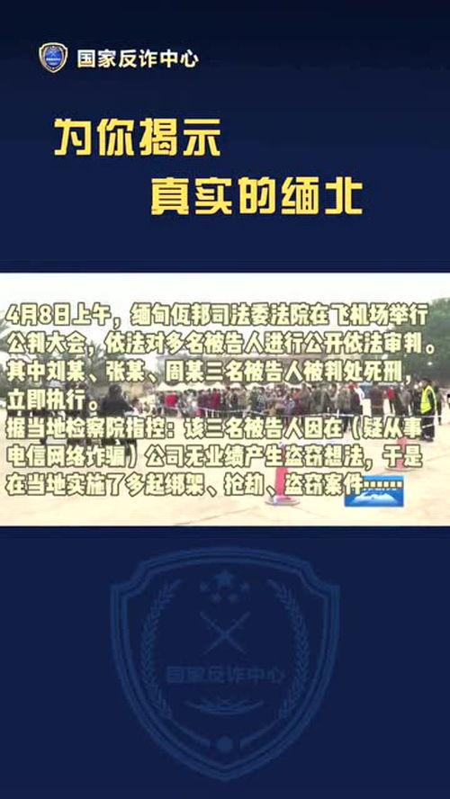 緬北視頻爆料是真的嗎,真相究竟如何？  第3張