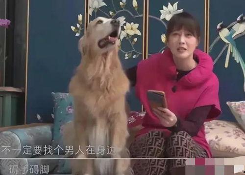 黃安爆料周海媚身世視頻,一段塵封的往事