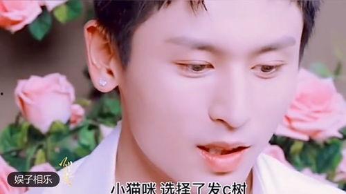 小五夫婦爆料視頻大全,揭秘生活點(diǎn)滴與情感歷程  第2張