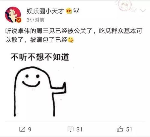 卓偉爆料過張靜初嗎視頻,揭秘張靜初幕后真相  第3張