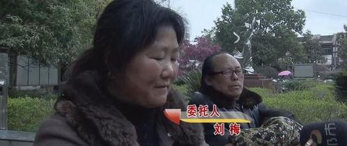 爆料婆婆視頻大全集,揭秘家庭生活點(diǎn)滴