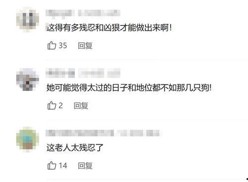 爆料婆婆視頻大全集,揭秘家庭生活點滴 第3張 爆料婆婆視頻大全集,揭秘家庭生活點滴 第3張