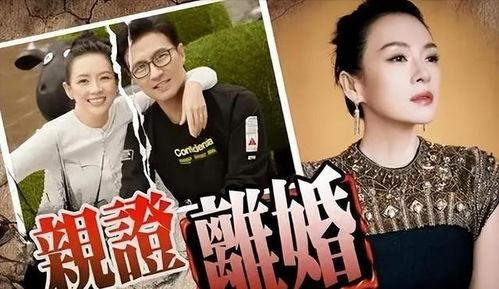 劉大錘最新爆料盤點(diǎn)視頻,盤點(diǎn)最新爆料視頻精彩瞬間