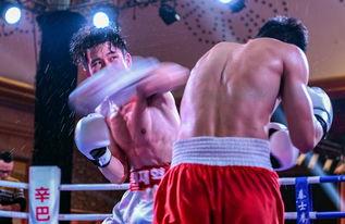 吃瓜娛樂拳擊視頻