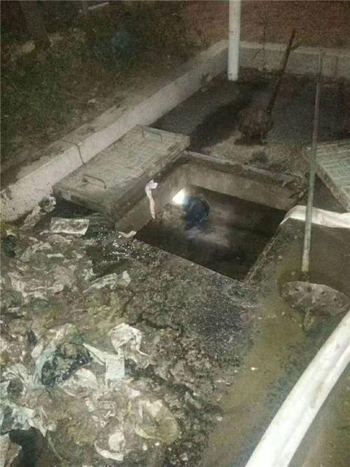 河津市百底村爆料新聞最新消息  第3張