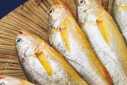 新聞爆料海魚視頻下載大全,海量海洋生物資源一網打盡  第3張