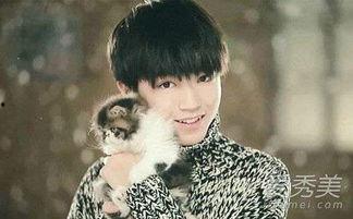 楊柳爆料王俊凱視頻完整版,王俊凱視頻完整版幕后故事大公開