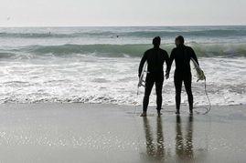 欲蓋弄潮在線觀看神馬,揭秘網絡熱劇背后的風云變幻